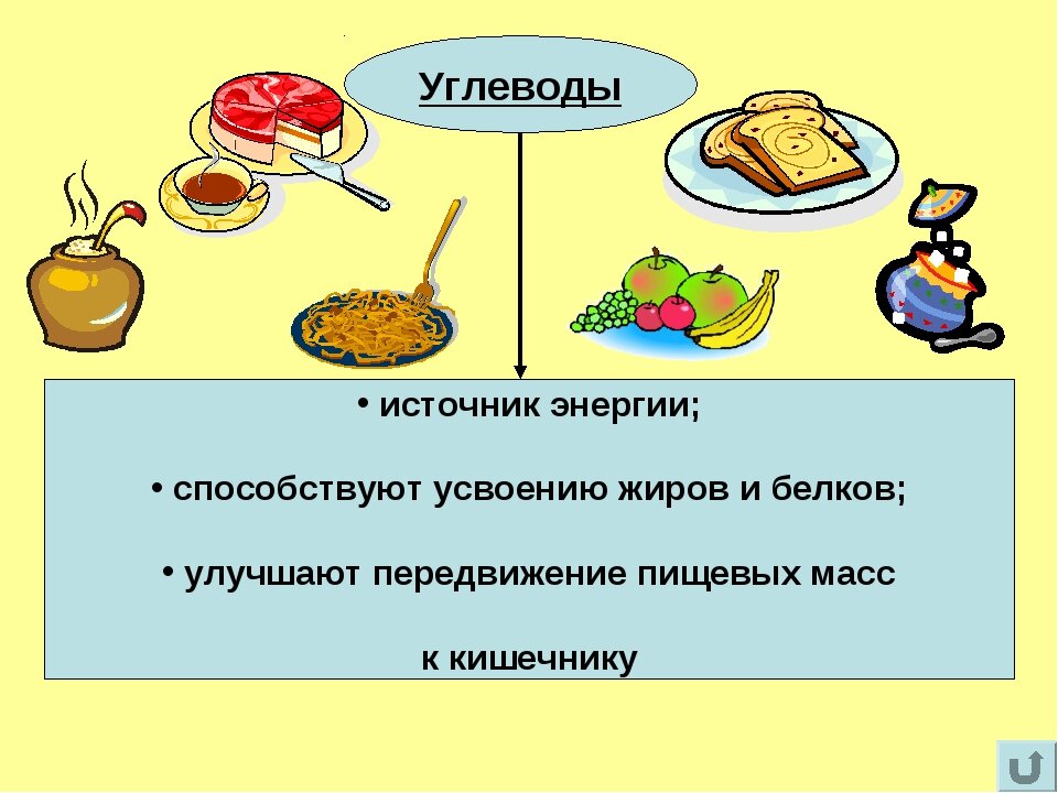 Жиры углеводы презентация