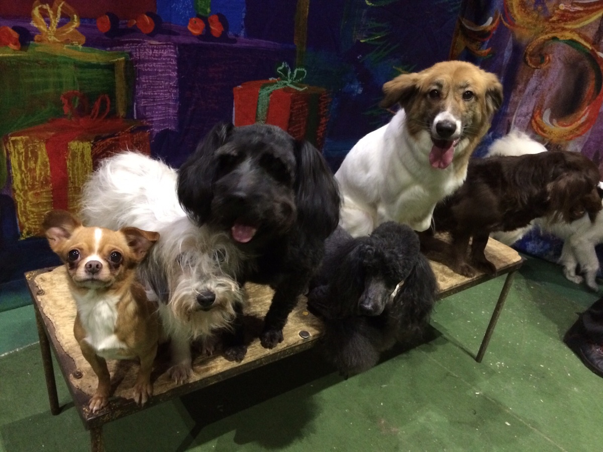 Кто последний к врачу? 