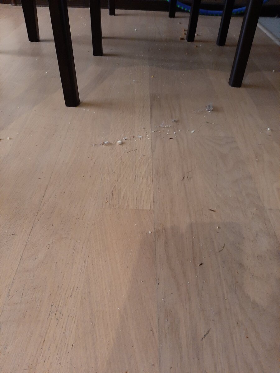 Сразу после завтрака 