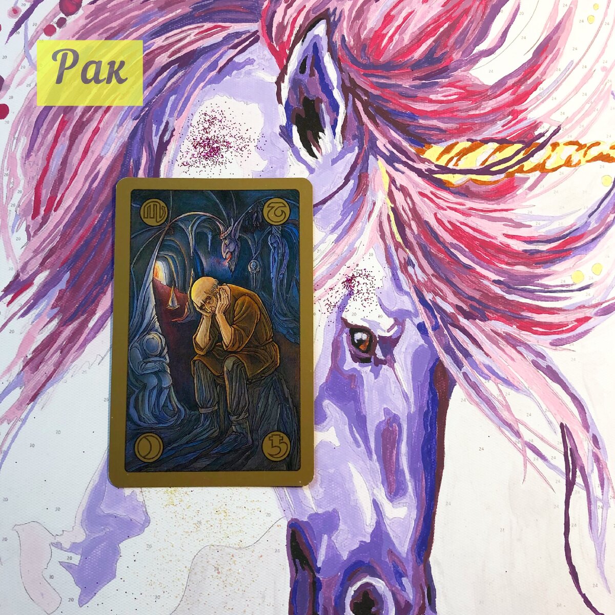 С 7 по 13 сентября у Раков 