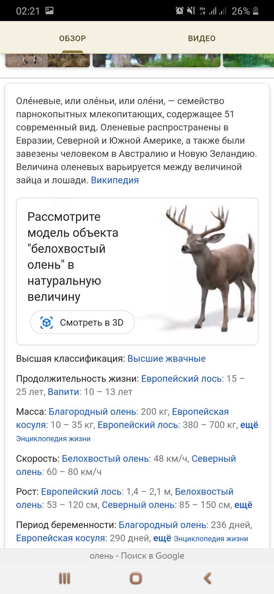 А вы знали, что в гугл можно ввести название животного и увидеть 3D модель?