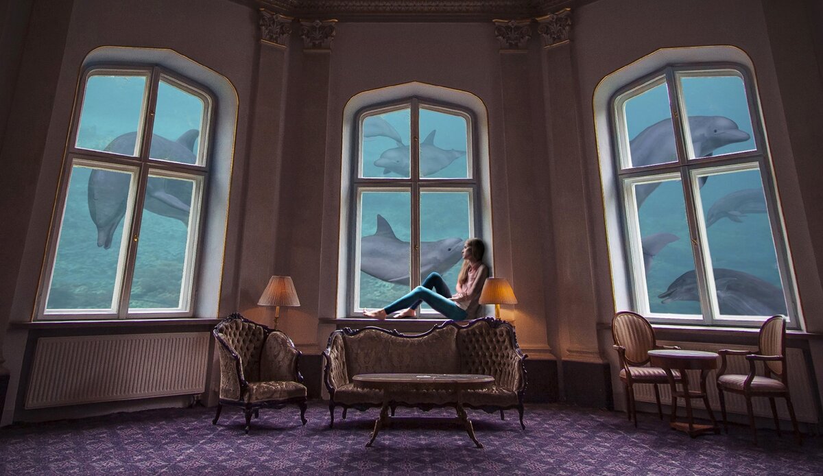 Изображение с сайта https://pixabay.com