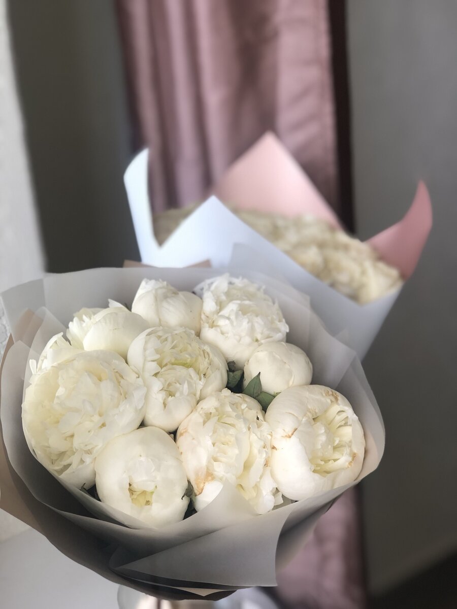 Мои прекрасные пионы