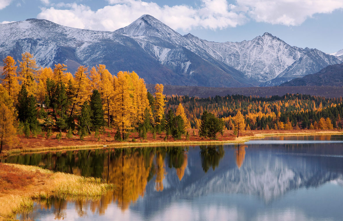 Источник фото: moyaltay.moy.su