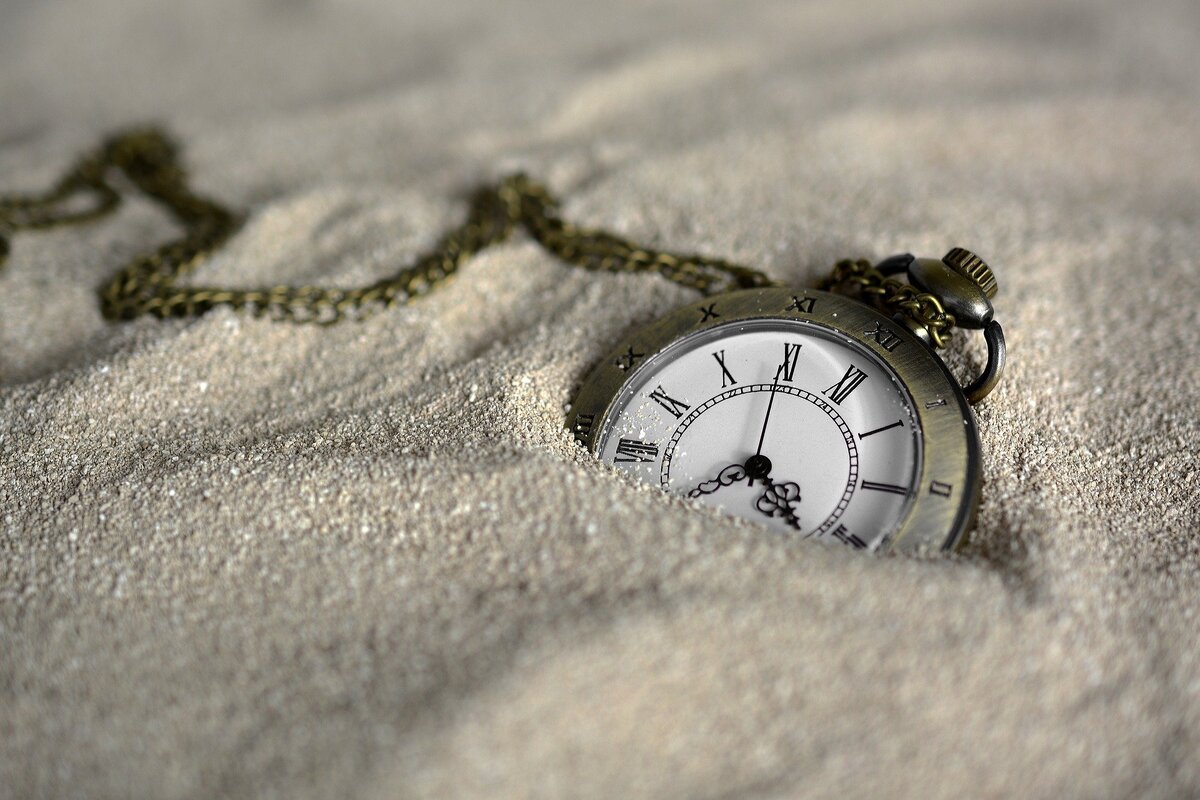 Фотография с открытой лицензией на использование. https://pixabay.com