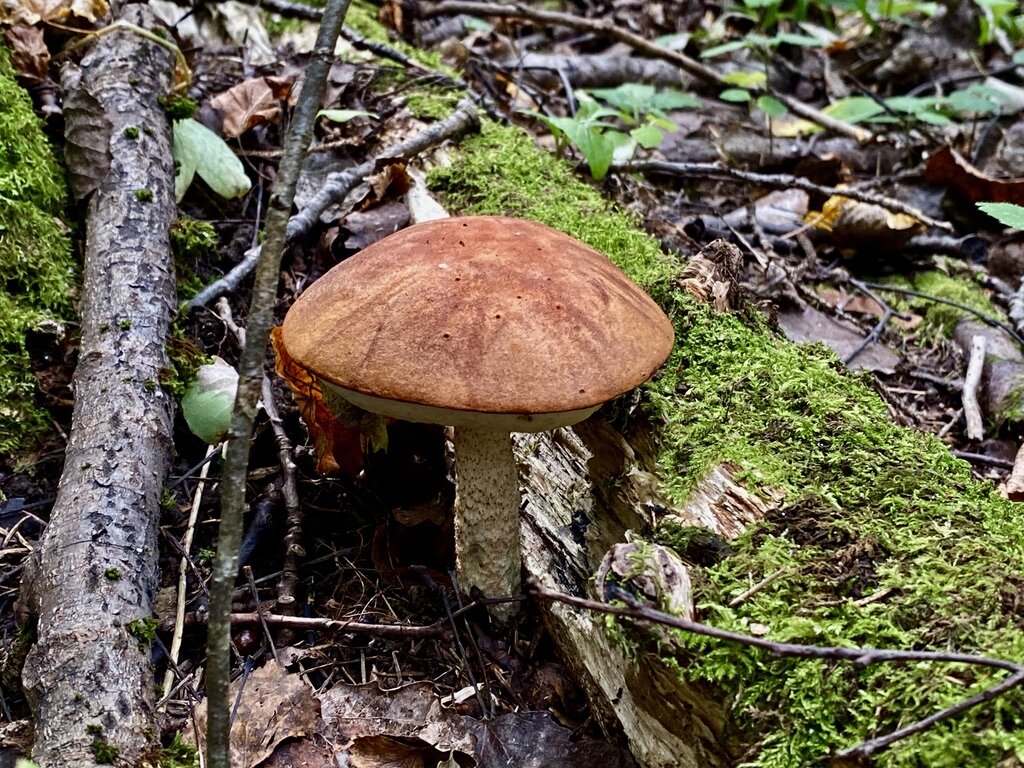 Тоже хорош!