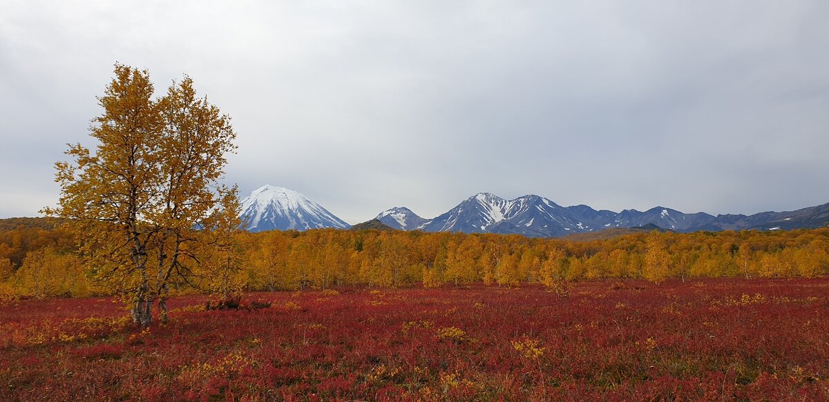 Осень на Камчатке оставляет ощущение прекрасного.
