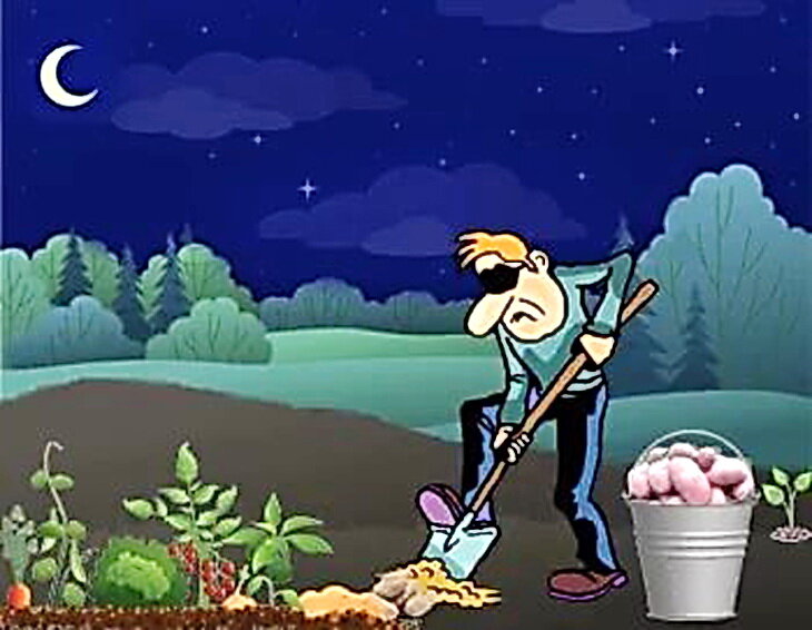 Фото взято из свободного доступа сети Интернет.