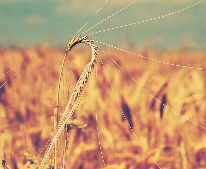 Стихи о любви. Алексей Золотов. 