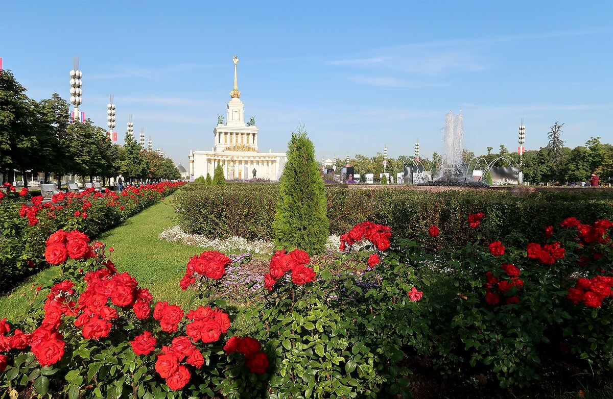 ВСЕ ФОТО АВТОРСКИЕ