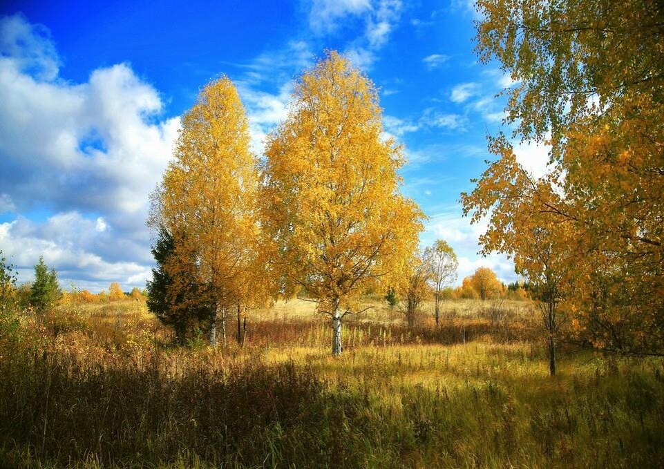 Фото — photosight.ru