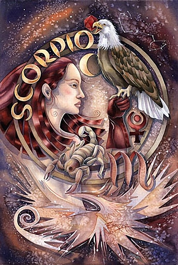 Иллюстрация Скорпион . Автор Jody Bergsma.