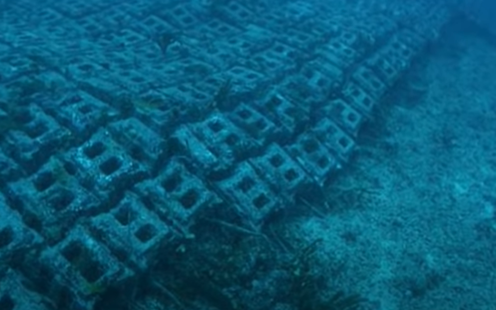 Источник Яндекс.Картинки