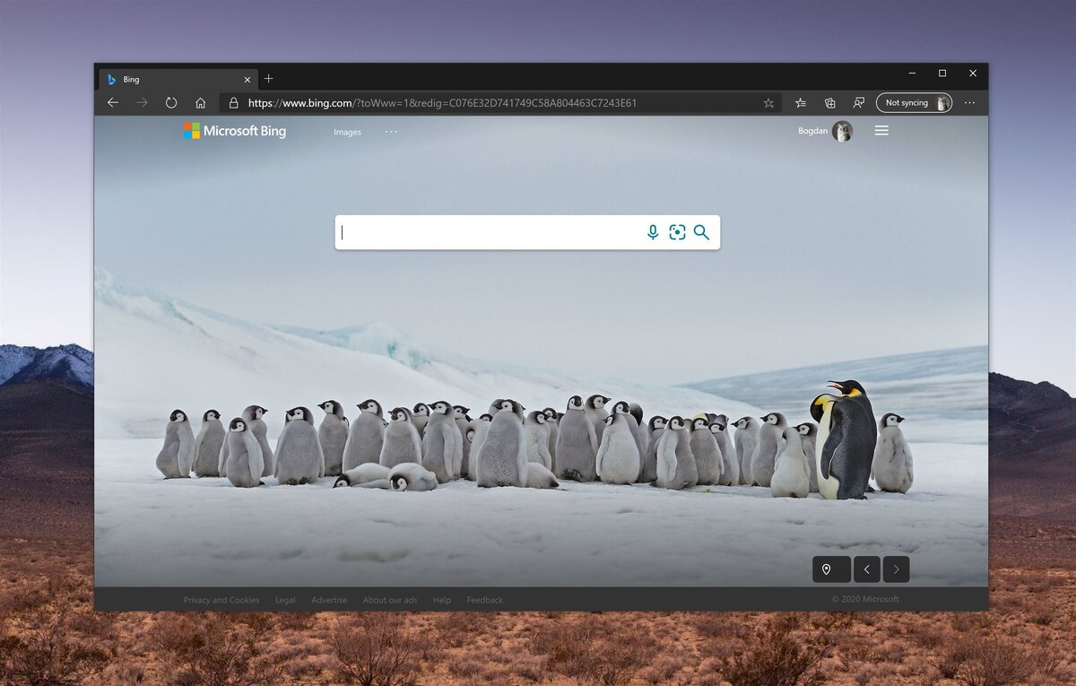 Как выглядит логотип Bing сейчас 