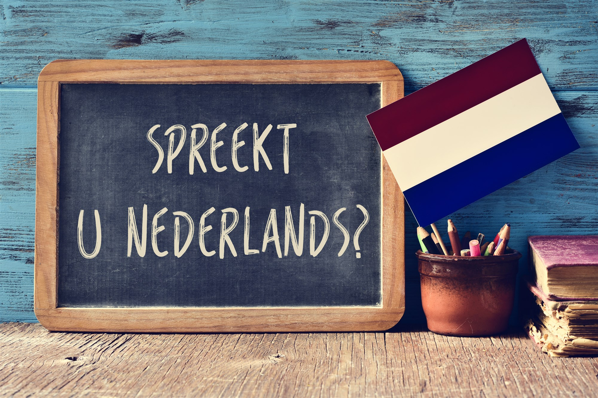 Нидерландский. Learn Dutch. Голландский язык картинки. Картинка нидерландский язык. Голландский язык в США.