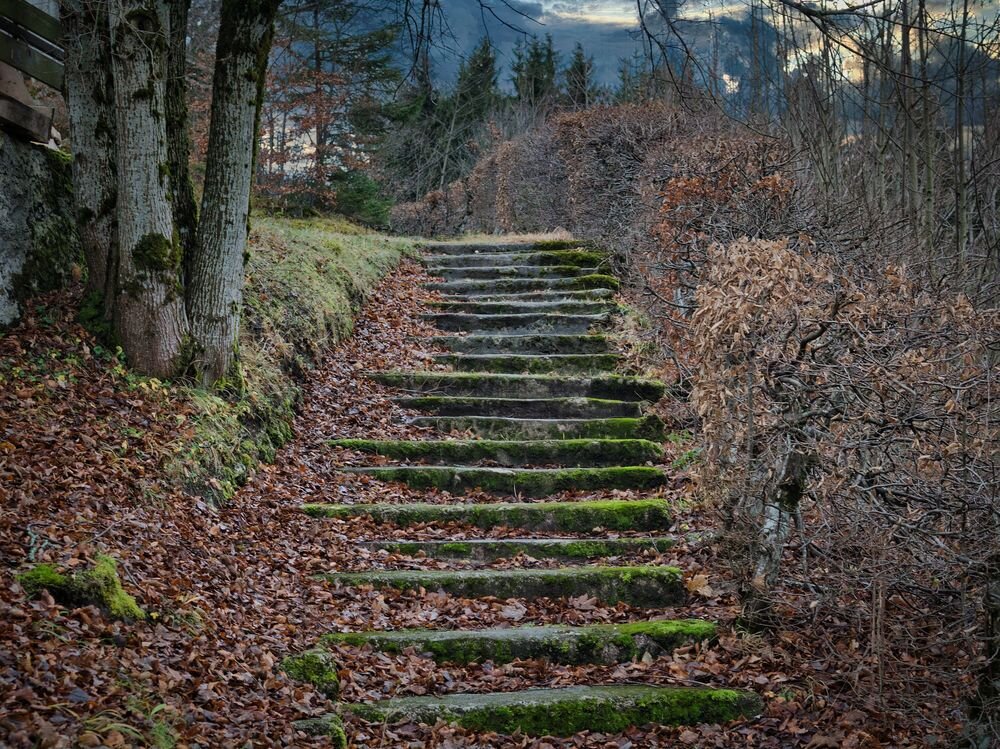 фото с сайта Pinterest (С)