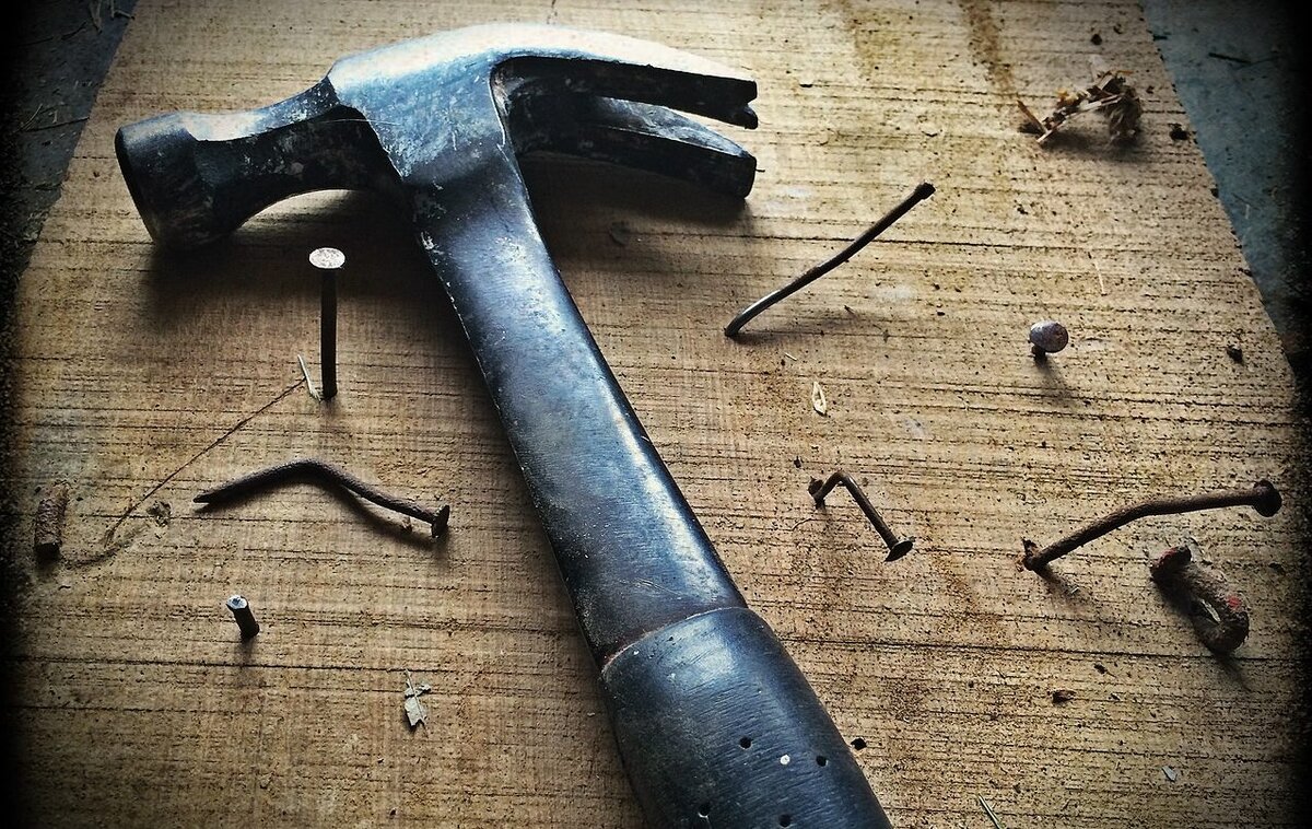 Изображение взято из открытых источников