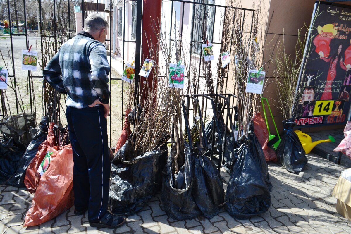 Фото из открытых источников!