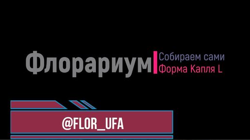 Собираю флорариум в форме Капля L (под заказ)