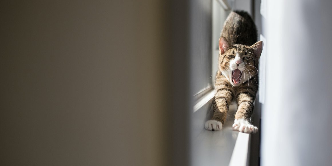 Kasey McCoy / Unsplash