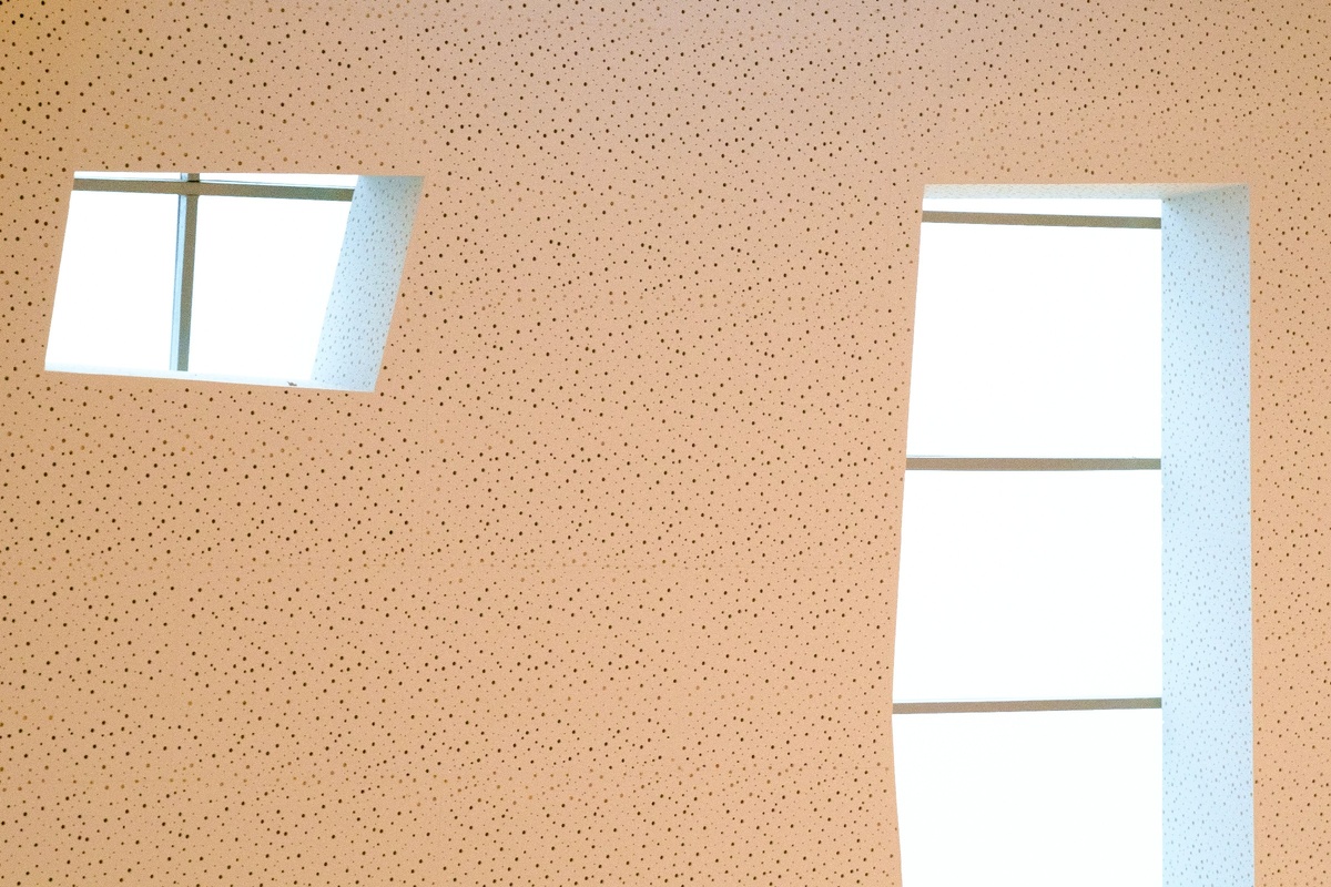 фото из открытых источников unsplash.com