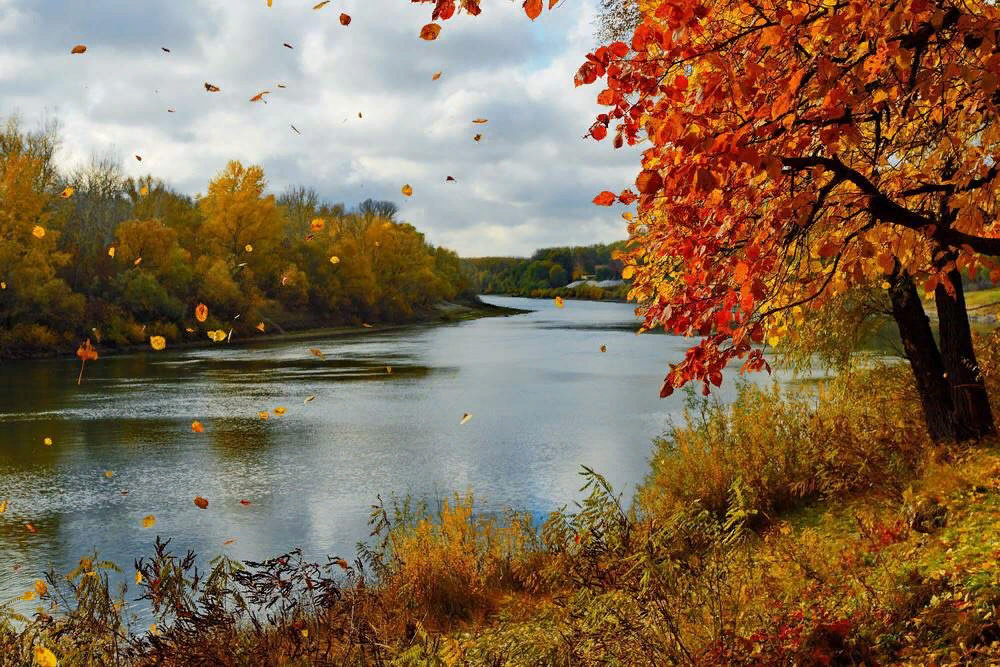 Красивый осенний пейзаж картинки красивые. Осенний пейзаж. Осенний листопад. Красивая осень. Осень листопад.