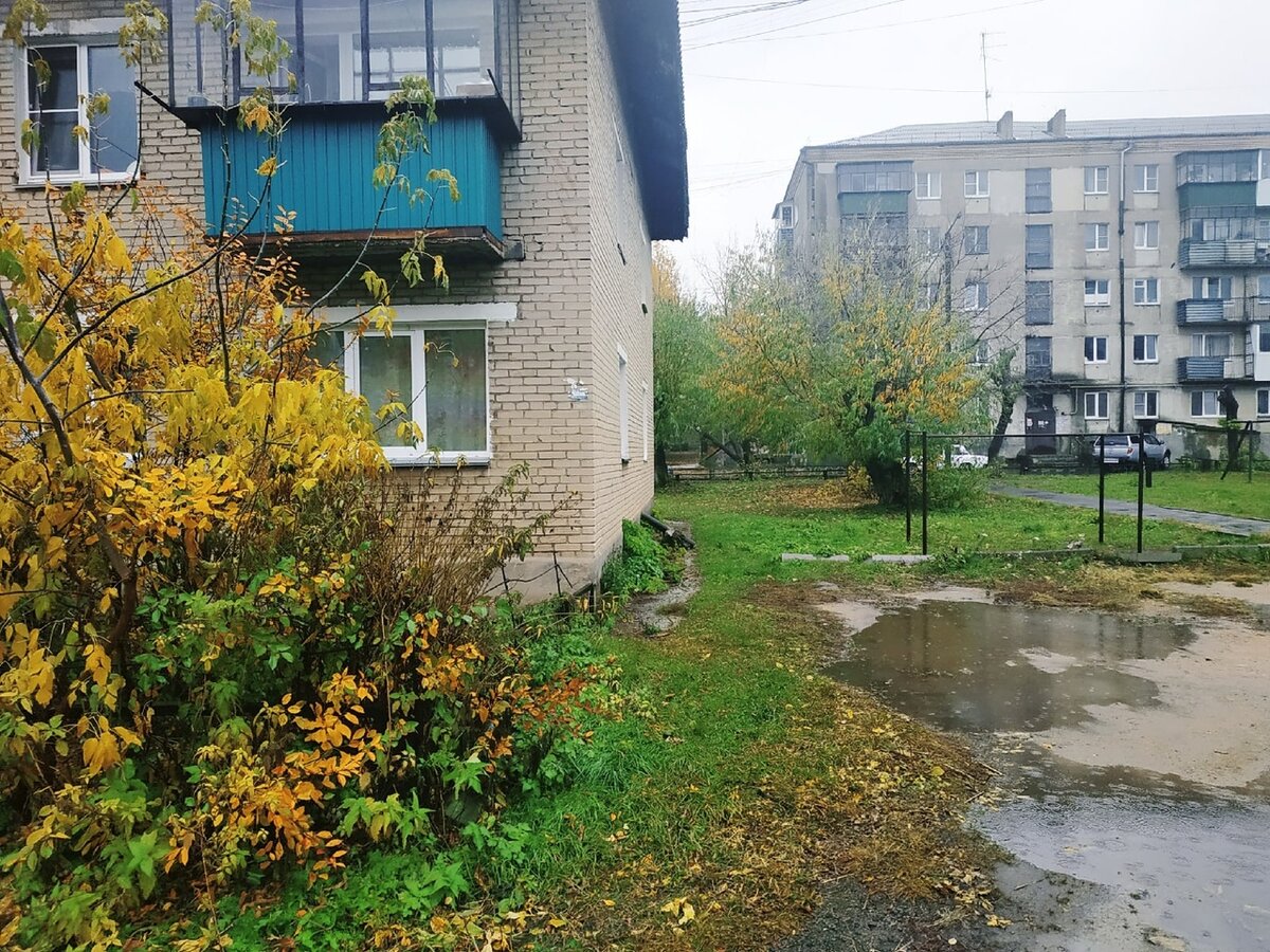 Доброго здравия, читатель!