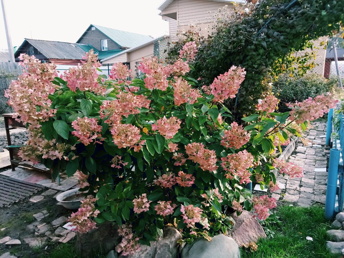 Фото в сентябре