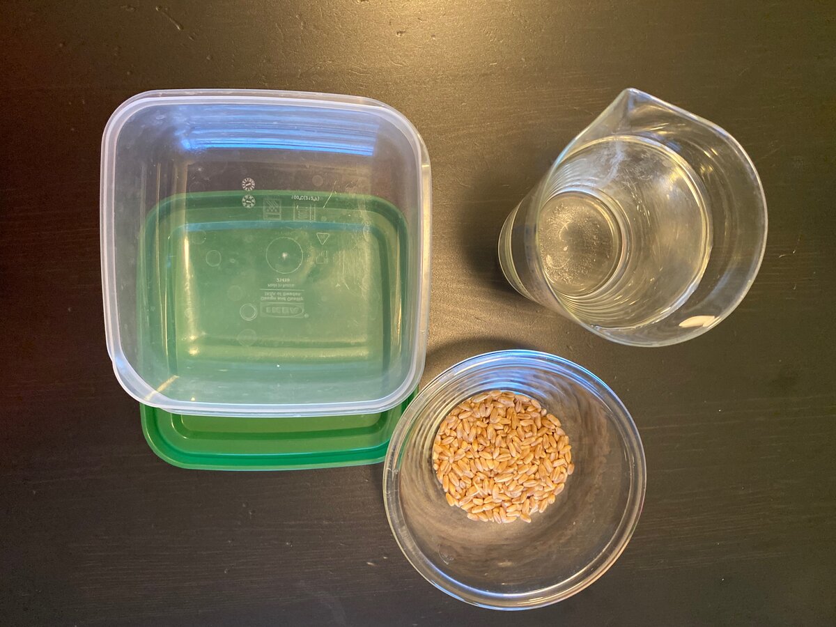 Нужен контейнер с крышкой и вода