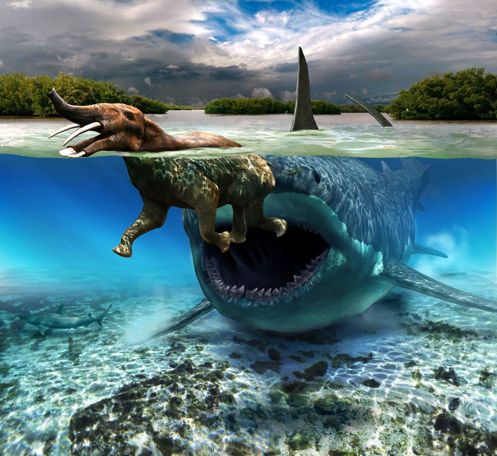 Источник: yandex.ru