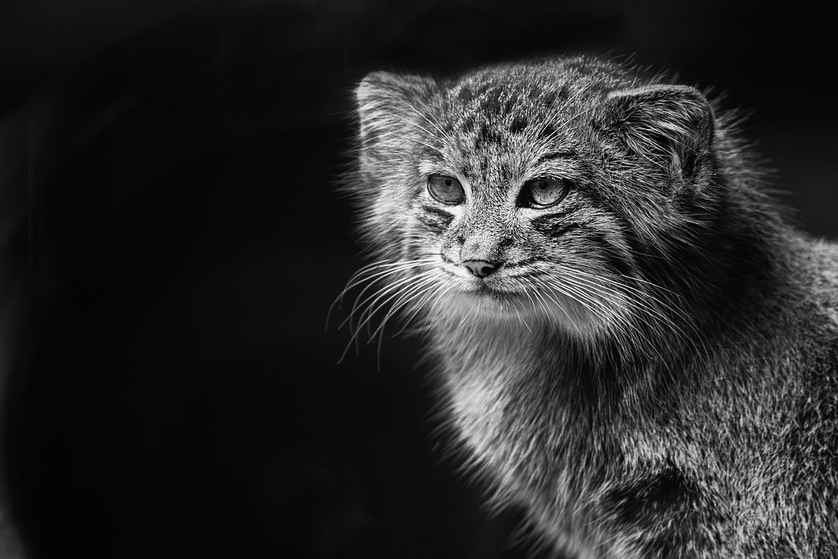 Фото: Wendy Corniquet 