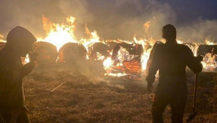 Из-за медлительности чиновников у фермеров сгорели запасы сена