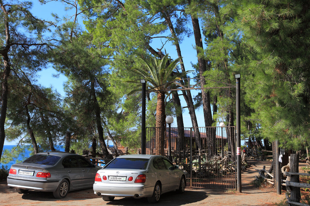 абхазский дворик пицунда. парк львов в пицунде. кафе арго абхазия. кафе арго пицунда. ресторан арго пицунда.