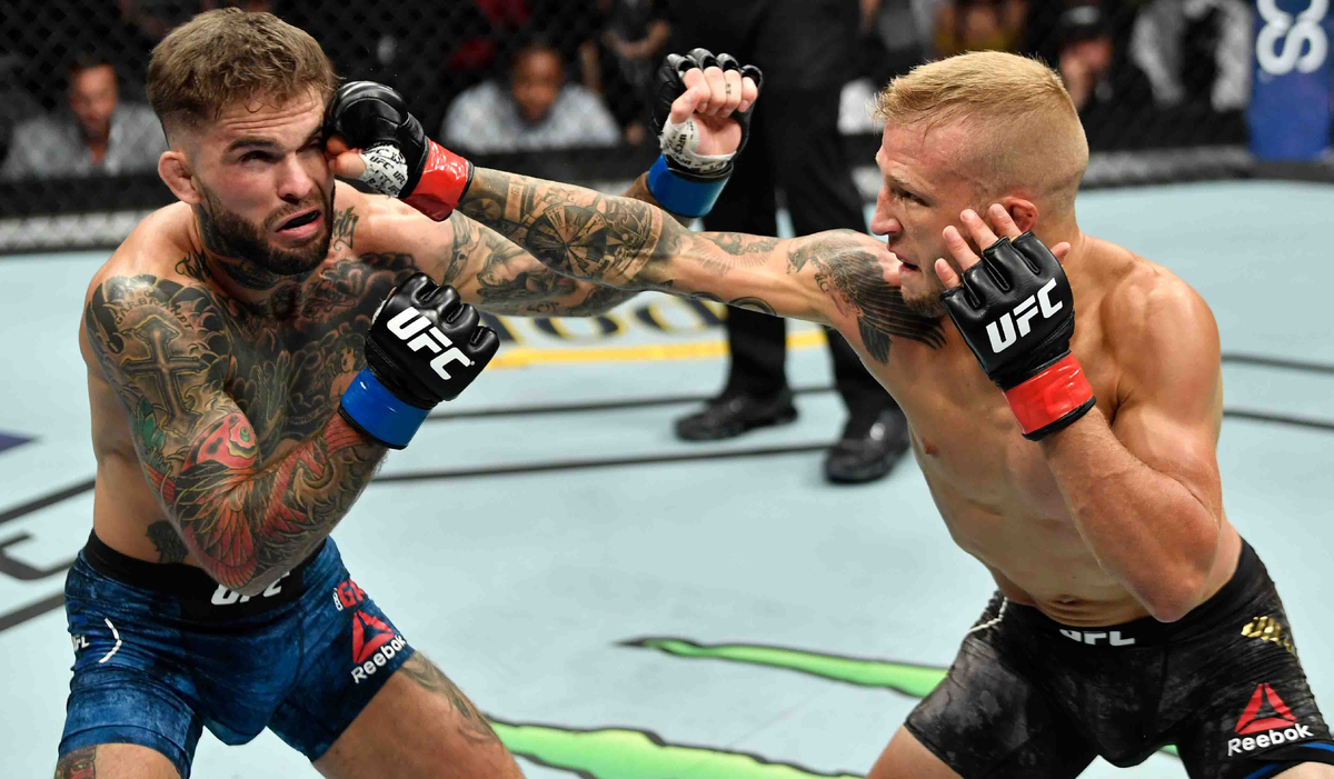 Джи джи селл. Ти Джей Диллашоу Коди Гарбрандт. UFC Cody Garbrandt. Ти Джей Диллашоу Коди Гарбрандт 2. Ти Джей Диллашоу Коди.