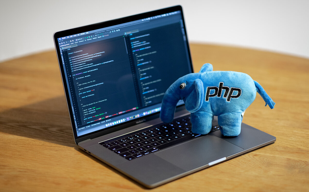 Программирование в школе PHP. Источник: unsplash.com