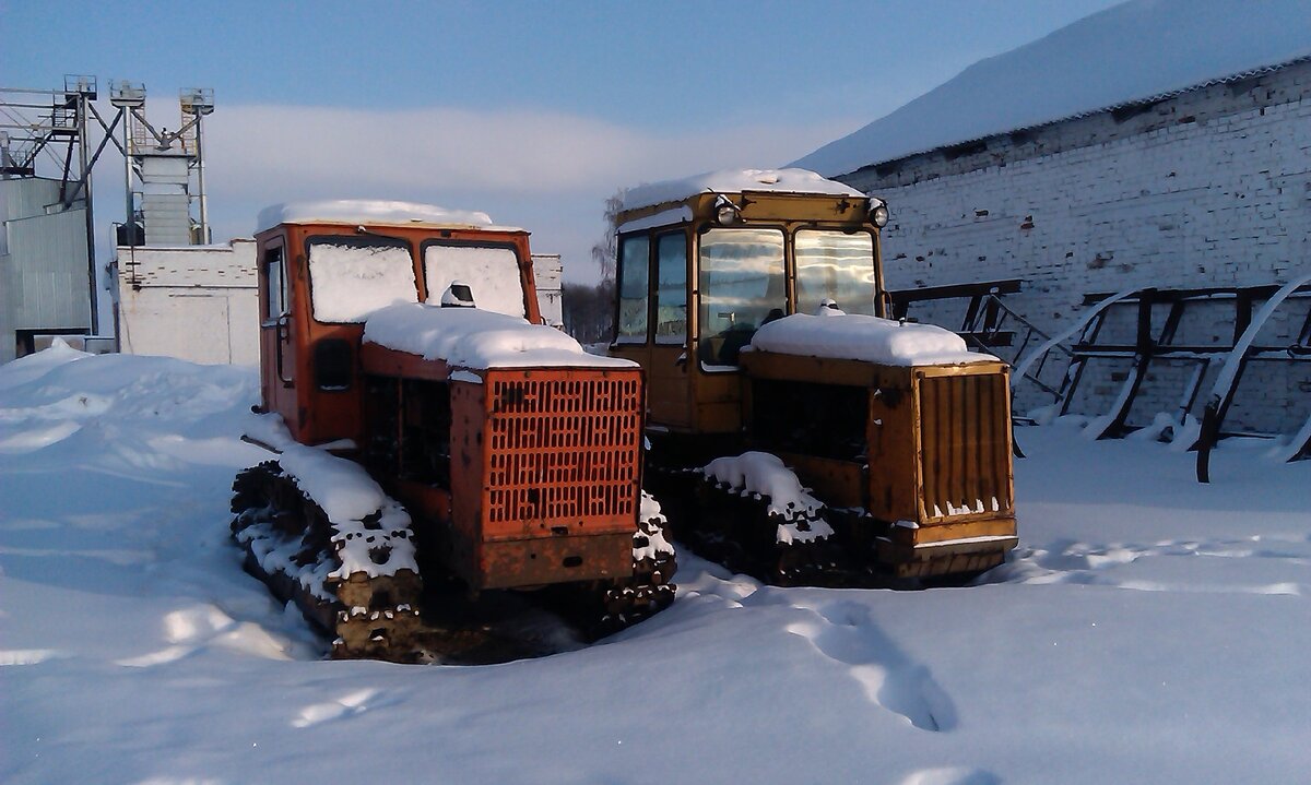 Фото из Яндекс Картинок