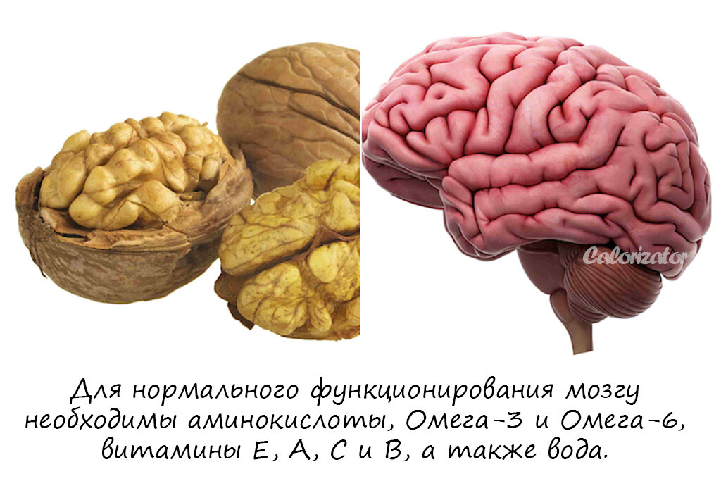 Орехи: польза и вред