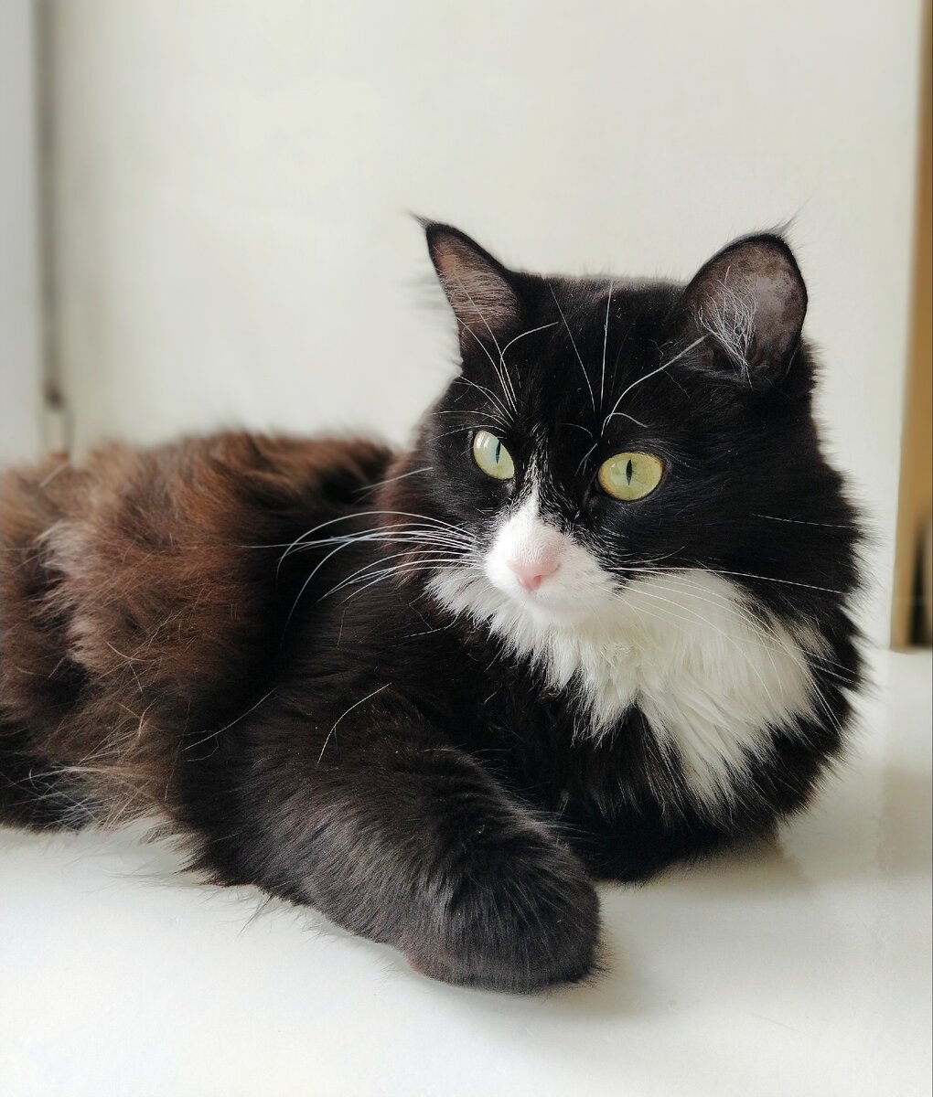 У Ириски и сейчас нет проблем с едой.