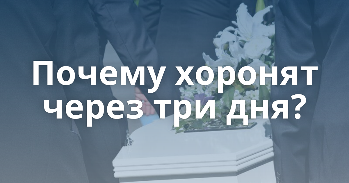 Источник Яндекс.Картинки