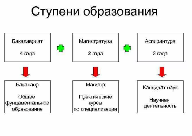 ступени образования в рф