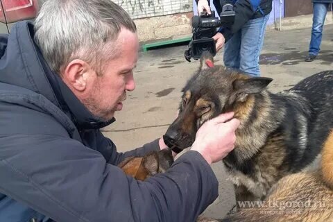 вот, собственно, один из них (фото из инета)