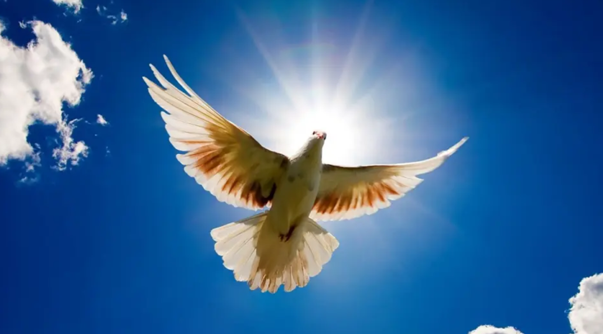 Источник: Яндекс