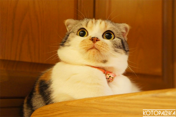 Источник: reddit.com