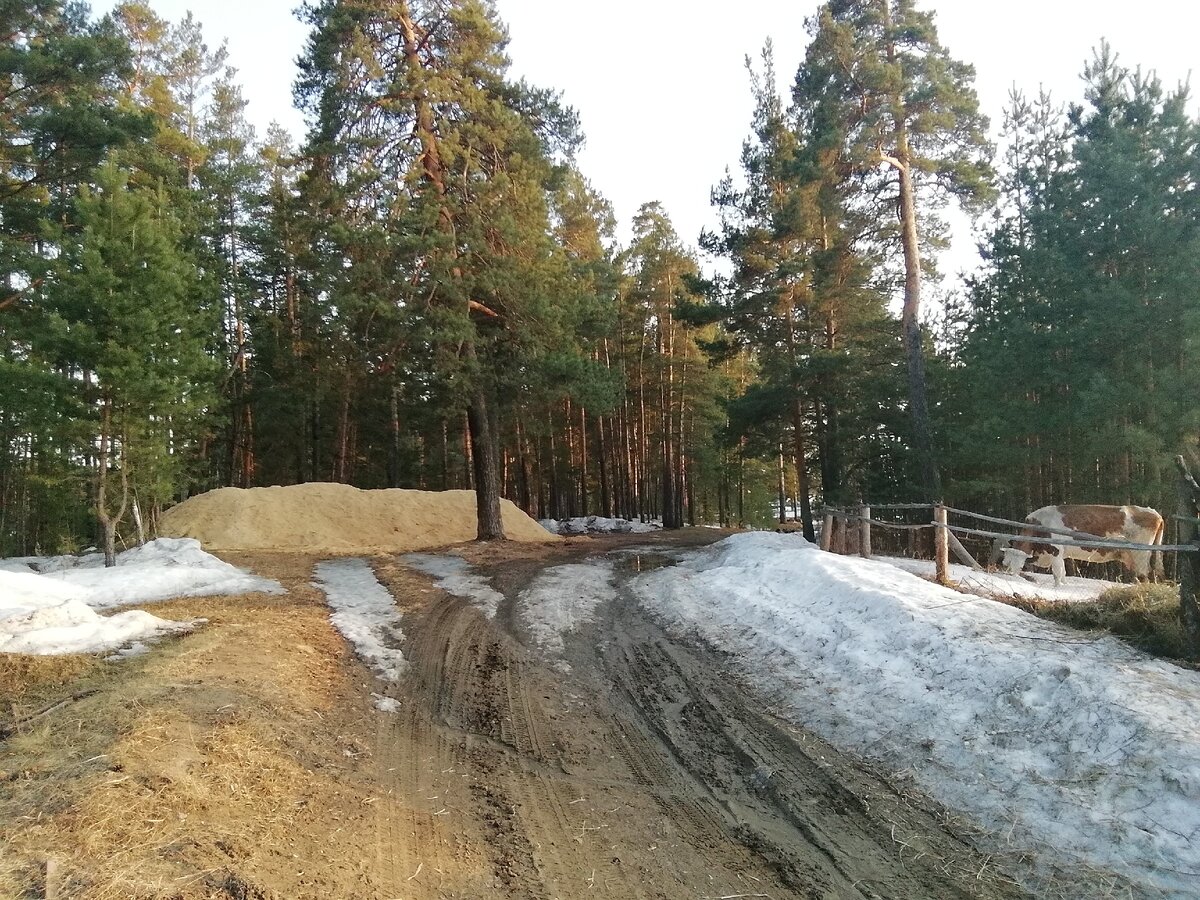 Заготовили снег. 