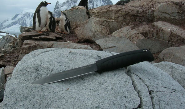 Нож Таран, сталь AUS-8 SW черный, Кизляр