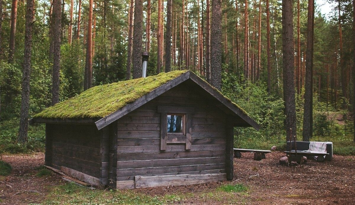 База отдыха озеро зеркальное. Экоотель лес Санкт-Петербург. Эко отель лес озеро зеркальное. Экоотель лес Санкт-Петербург озеро. Эко отель Выборгский район.