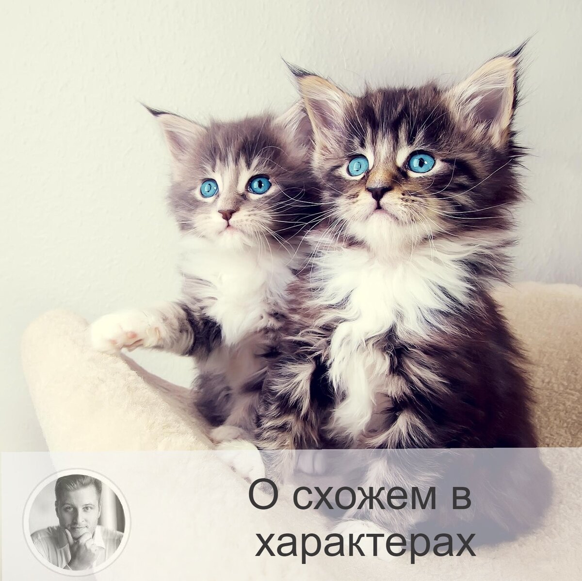 Подписывайтесь и ставьте 👍
Поговорим о противоположностях, то есть продолжим вчерашнюю тему, друзья. 
Мы развеивали миф о том, что они обязательно притягиваются.
Можно добавить ещё и следующие мифы:
1.    Чтобы встретить сильного мужчину, нужно быть слабой.
2.    Поменять человека можно.

На практике выходит иначе: сильные притягиваются к сильным, а поменять человека не представляется возможным (только если он сам поменяется, захотев этого).

Партнёр, диаметрально противоположный вам, не задержится в вашей жизни надолго.

Теперь о гипотезе о том, что люди в отношениях становятся похожими друг на друга⤵️
Согласно исследованиям американских учёных, это совсем не так. Предполагалось, что люди в наиболее длительных отношениях имеют больше сходства в характере, принципах, предпочтениях. Вывод был сделан следующий: похожесть в партнёрах была изначально, а больше со временем её не стало. Их принципы не менялись, как долго бы они не находились в отношениях.

Получается, что мы не меняем людей, находящихся рядом с нами, а мы выбираем тех, кто похож на нас изначально. И тогда нам комфортно вместе.

Помимо этого заключения учёные заявили в противовес, что, находясь в отношениях с похожим на вас человеком, вы гораздо меньше развиваетесь как личность, нежели если бы вы выбрали противоположность. Поэтому в партнёры выбираем схожих с нами, а вот общаться нужно с разными личностями, чтобы видеть себя со стороны, в том числе, корректируя поведение в лучшую сторону.

Друзья, считаете ли вы, что мы должны найти такого же как мы сами, как бы второй ботинок от пары?

—————

Будь в тренде, нажимай «Уведомлять о новых записях» сверху справа 👆 в меню «•••» 😊