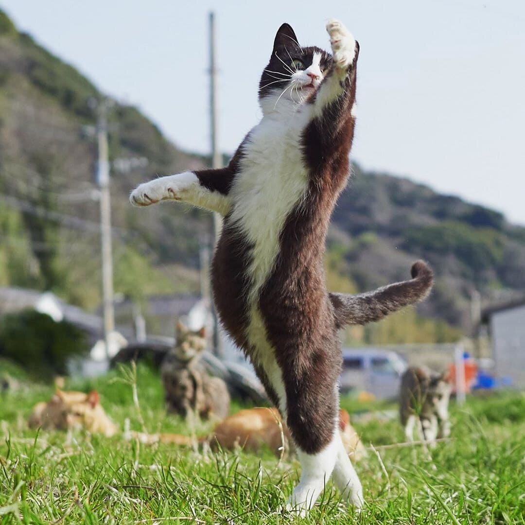 Фото: © instagram.com/photo.accent/