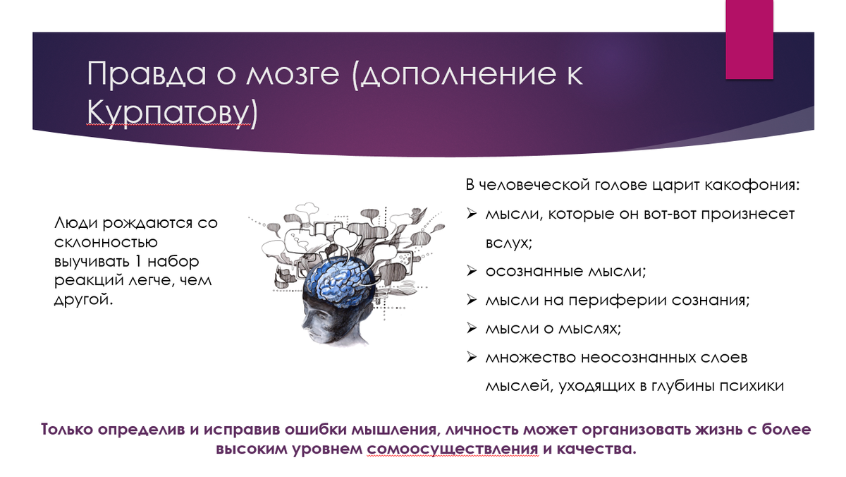 вы задумывались, как работает ваш мозг?