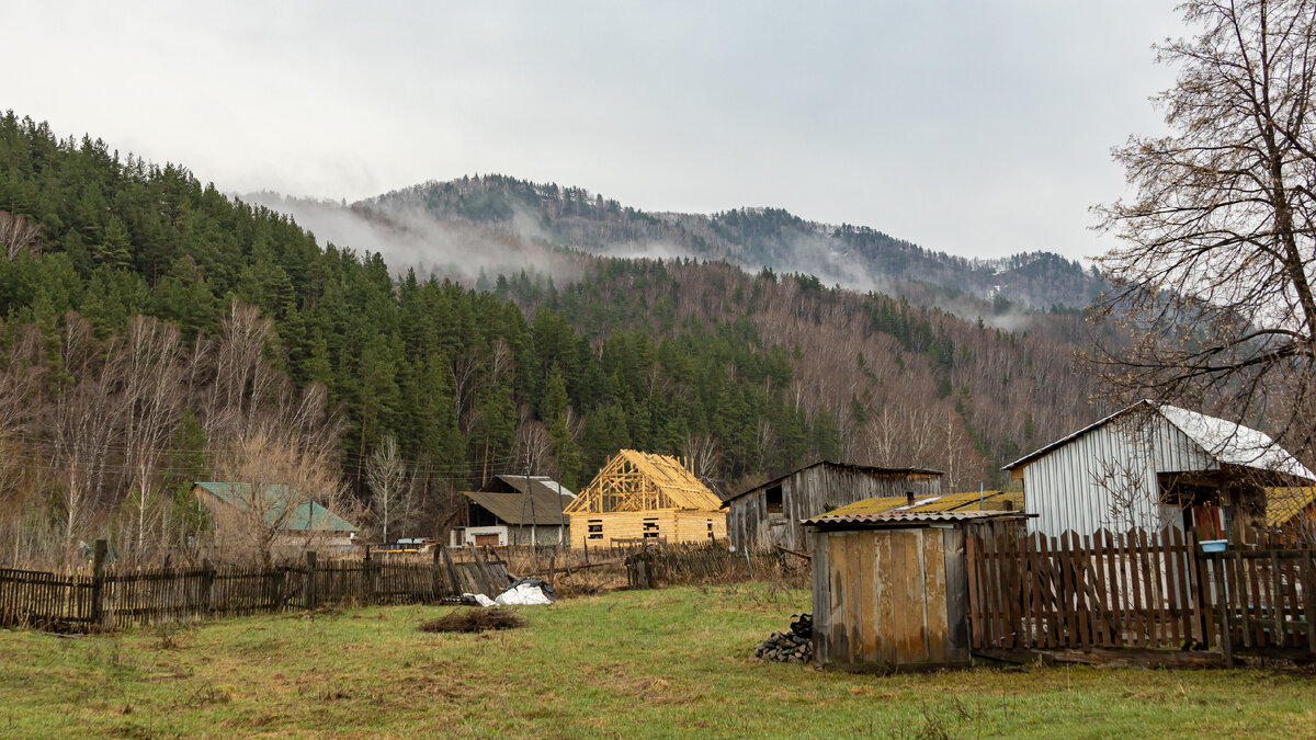 с.Алтайское